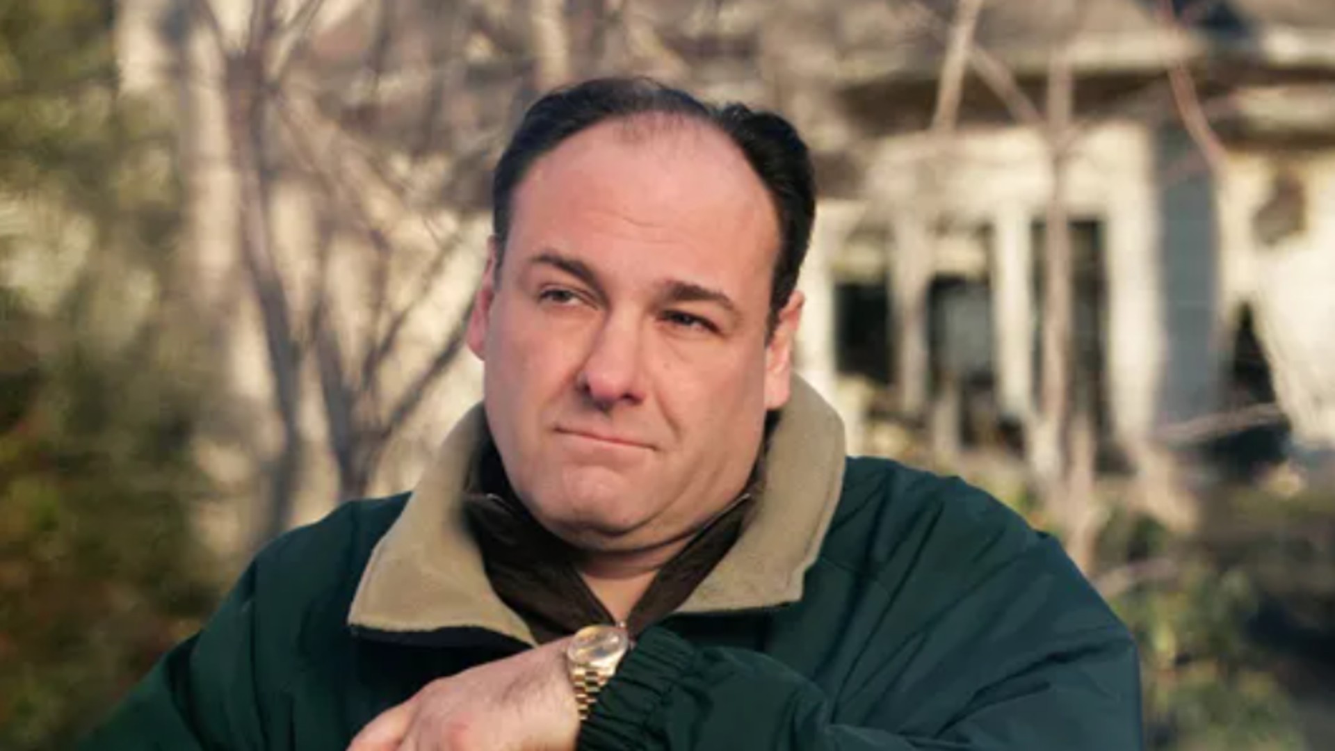 Tony Soprano in 'The Sopranos'