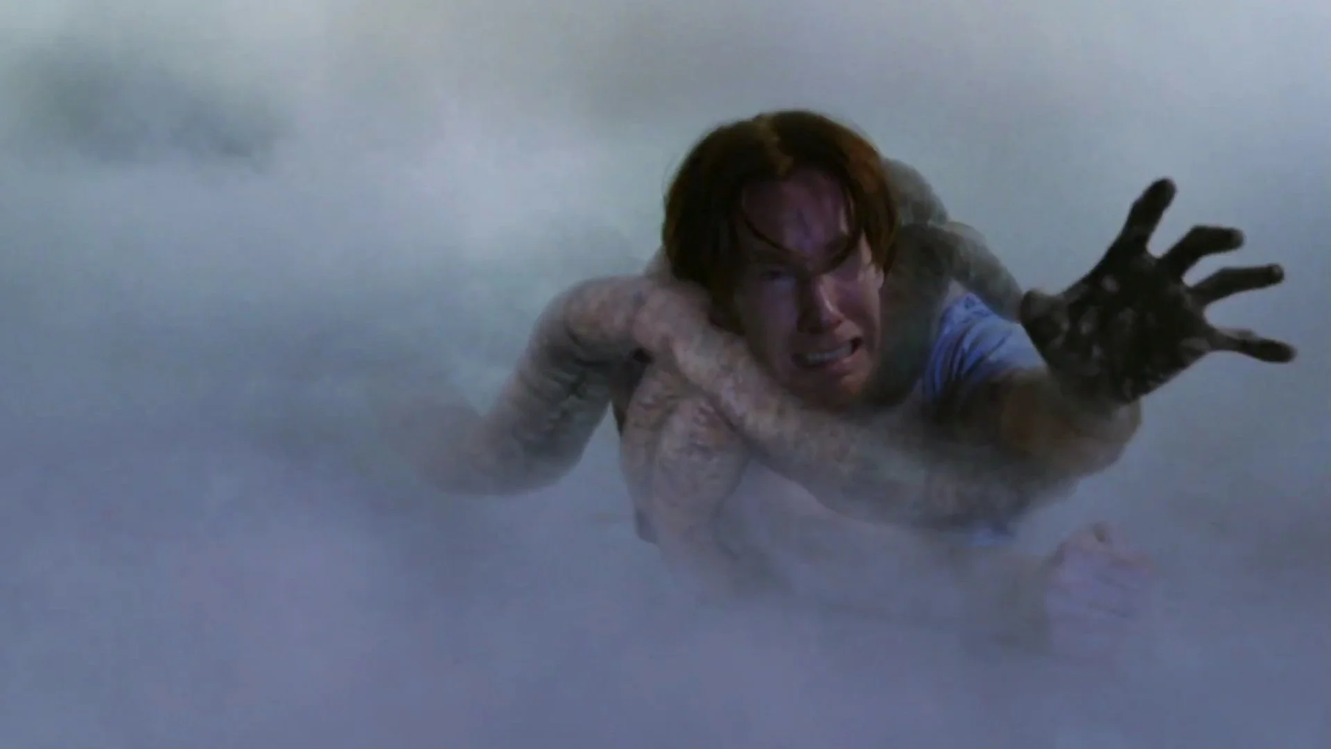 2. The Mist (2007)