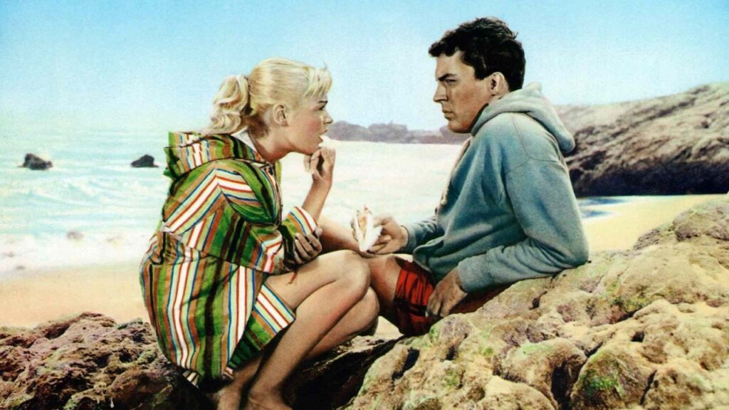 Gidget (Image: Columbia Pictures)