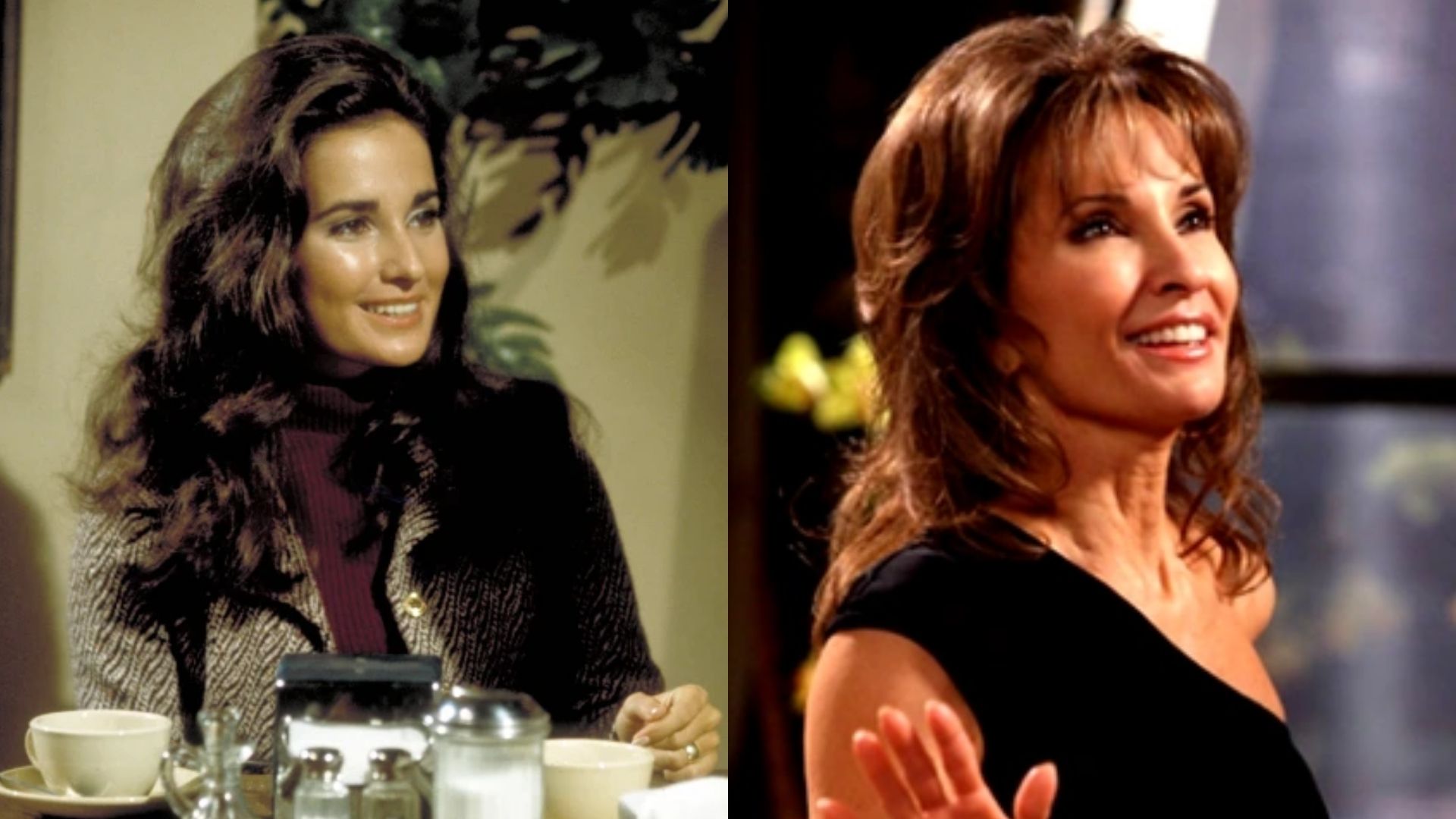 Susan Lucci - All My Children