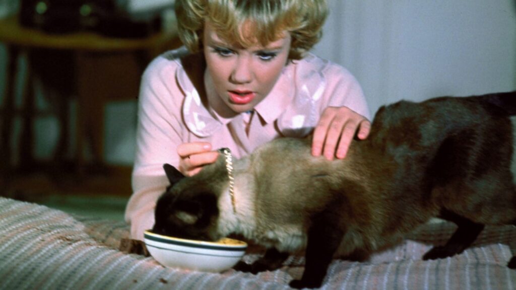 Hayley Mills in 'That Darn Cat' (Image: Disney)