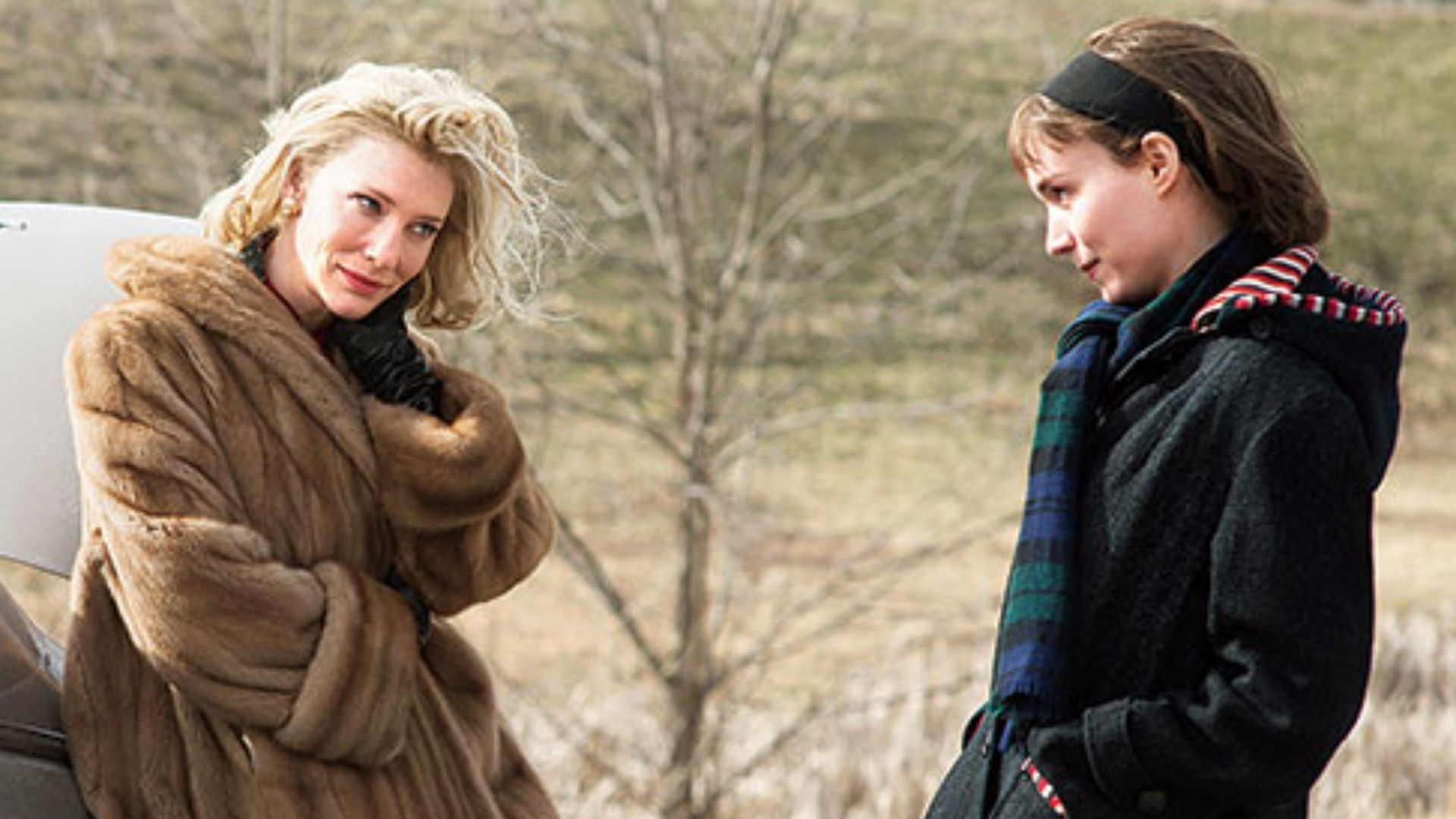 ‘Carol’ (2015)