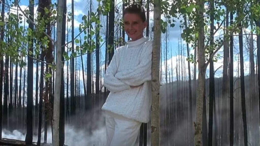 Audrey Hepburn in 'Always' (Image: Universal Pictures)