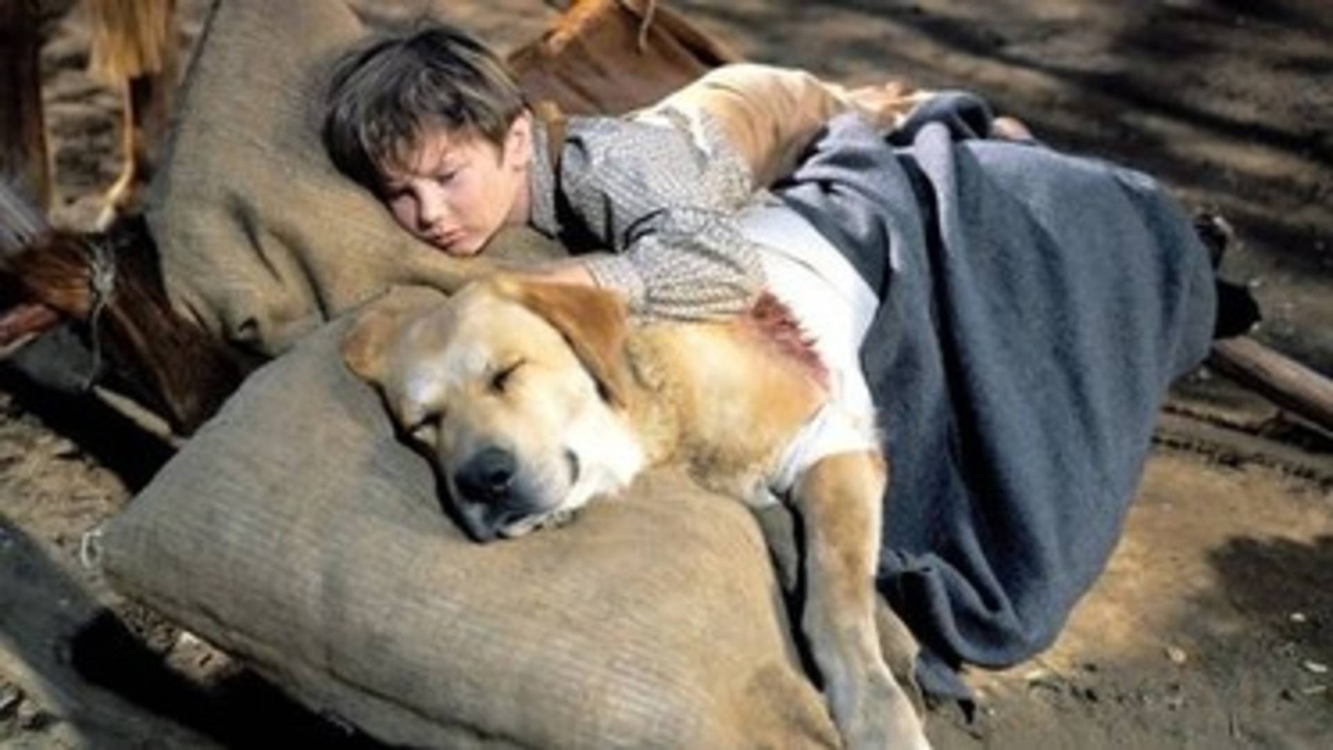 ‘Old Yeller’ (1957)