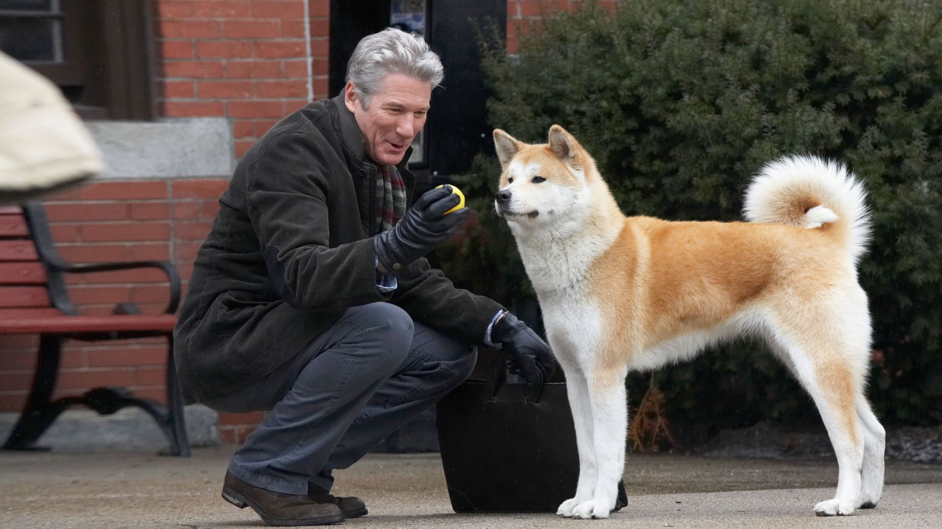 1. Hachi: A Dog's Tale (2009)