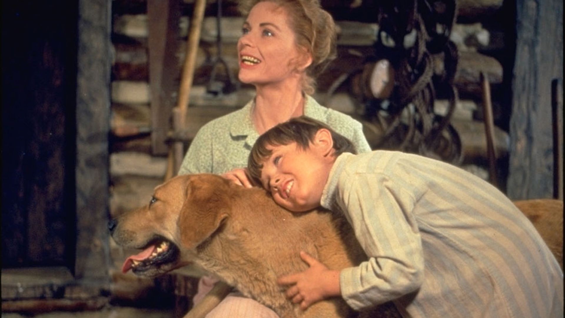 5. Old Yeller (1957)