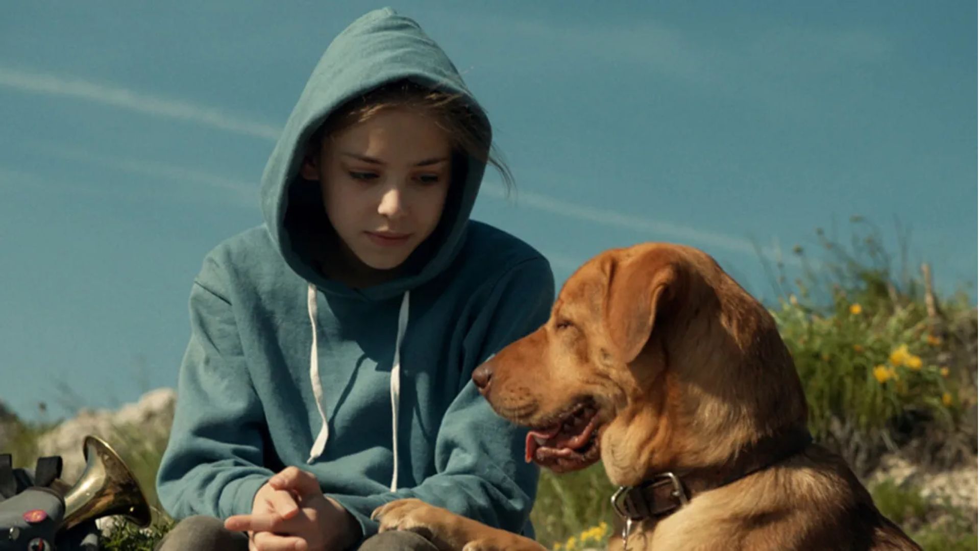 7. White God (2014)