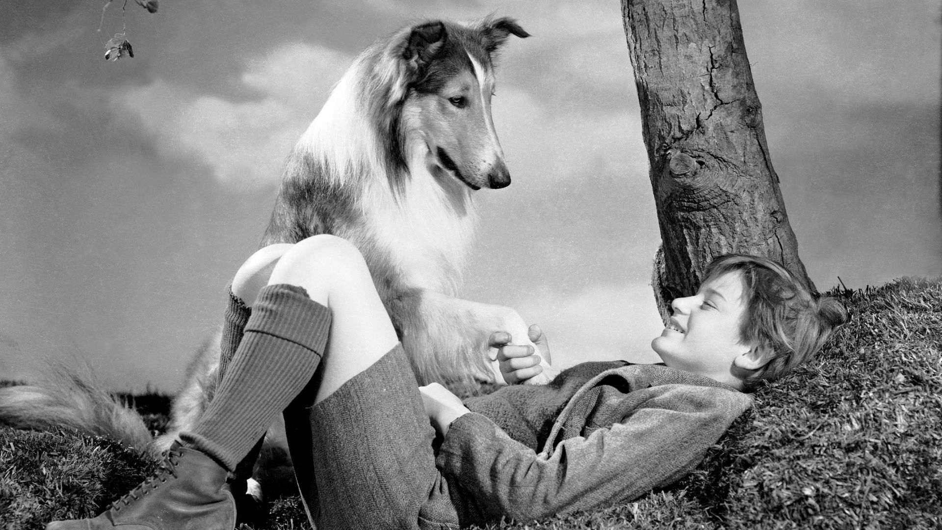 8. Lassie Come Home (1943)