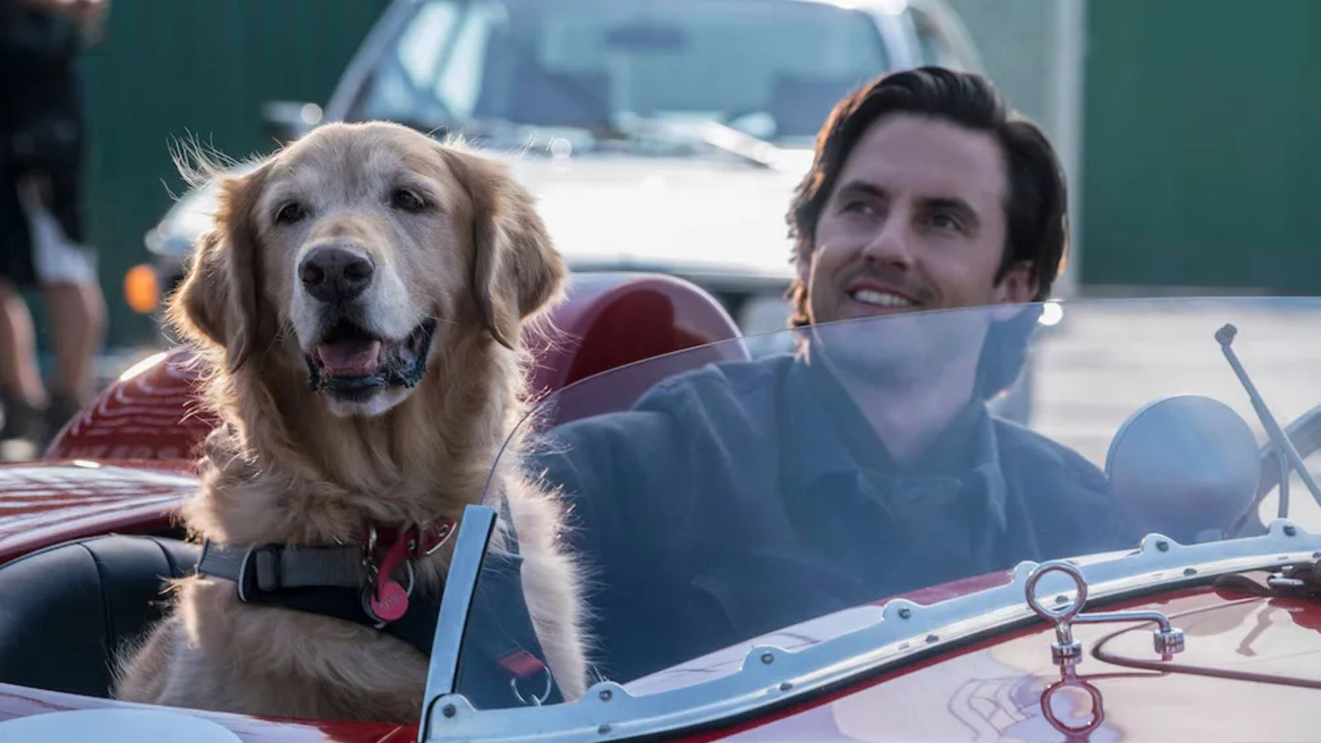 9. The Art of Racing in the Rain (2019)