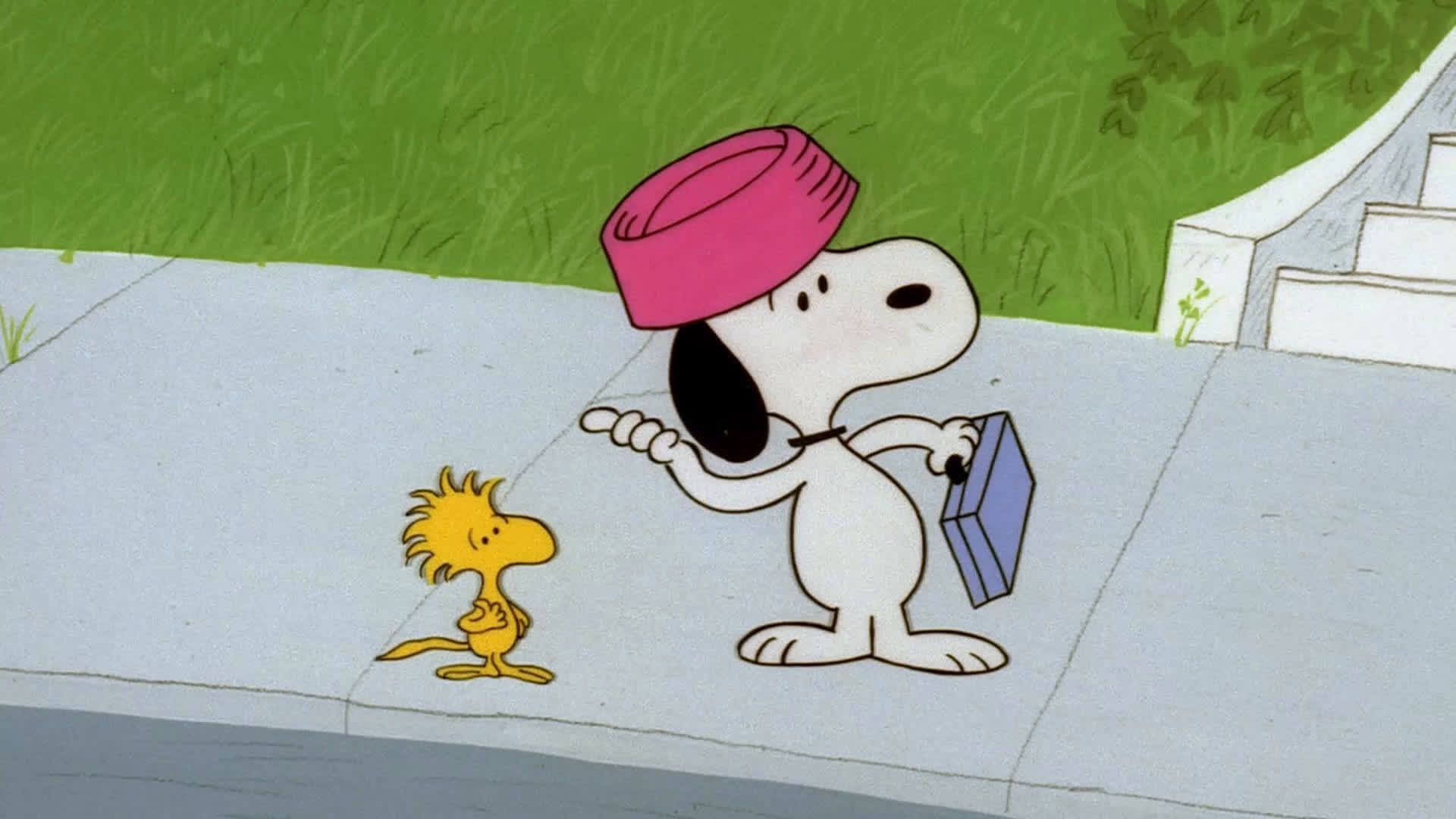 11. Snoopy, Come Home (1972)