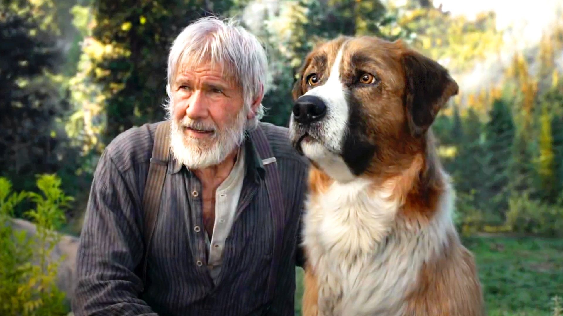 15. The Call of the Wild (2020)