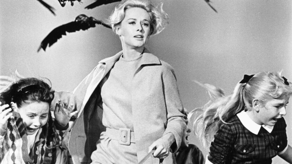 A still from 'The Birds' by Alfred Hithcock