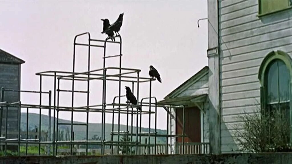 A still from 'The Birds' by Alfred Hithcock