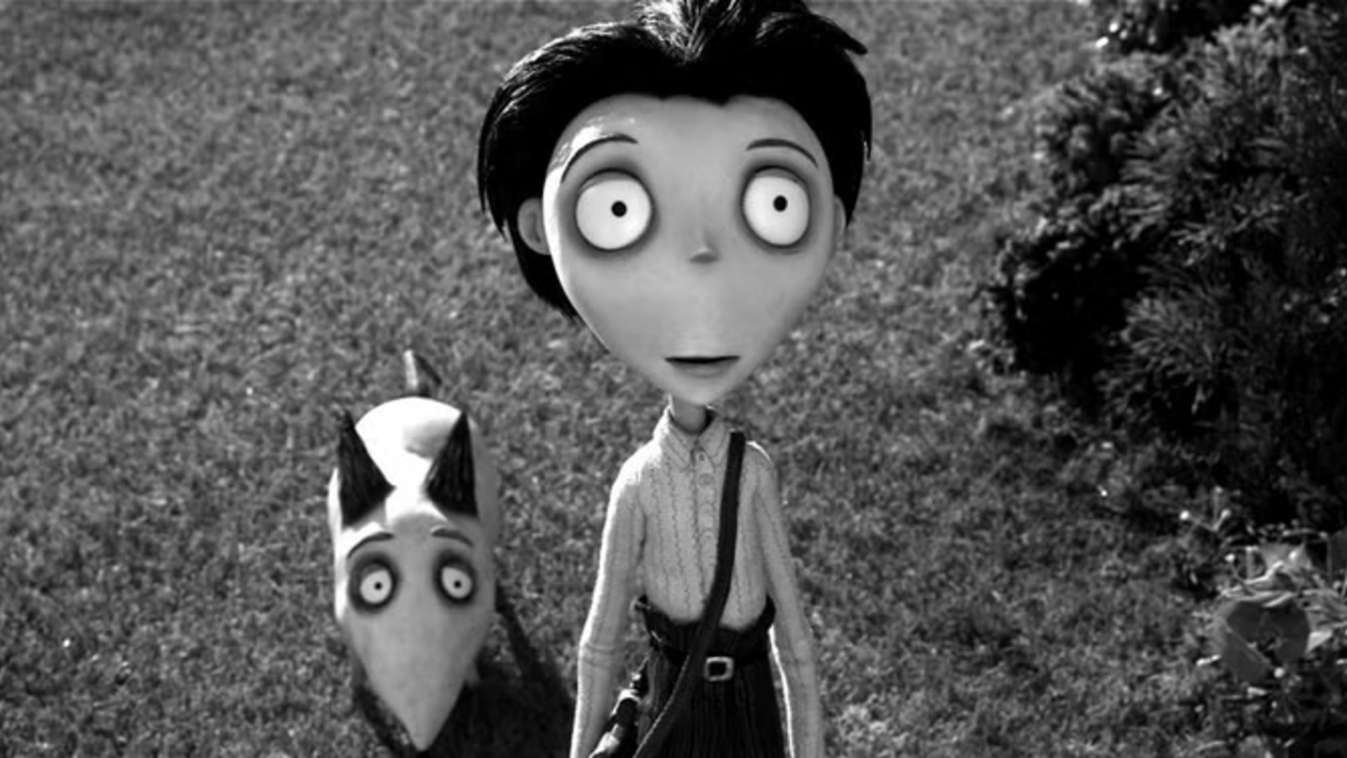 25. Frankenweenie (2012)