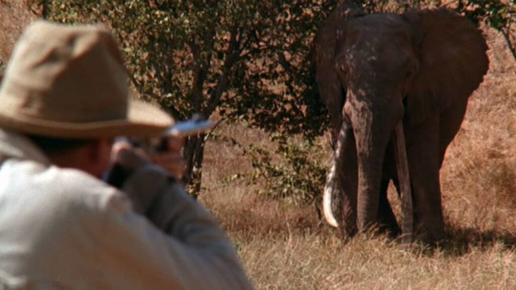 A still from 'White Hunter Black Heart' 