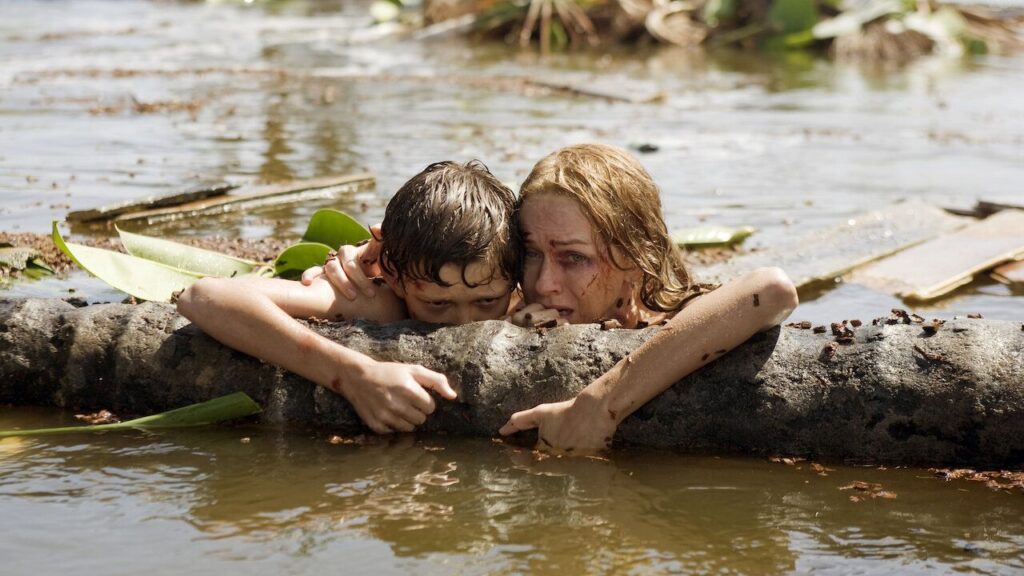 The Impossible (Image: Warner Bros. Pictures)