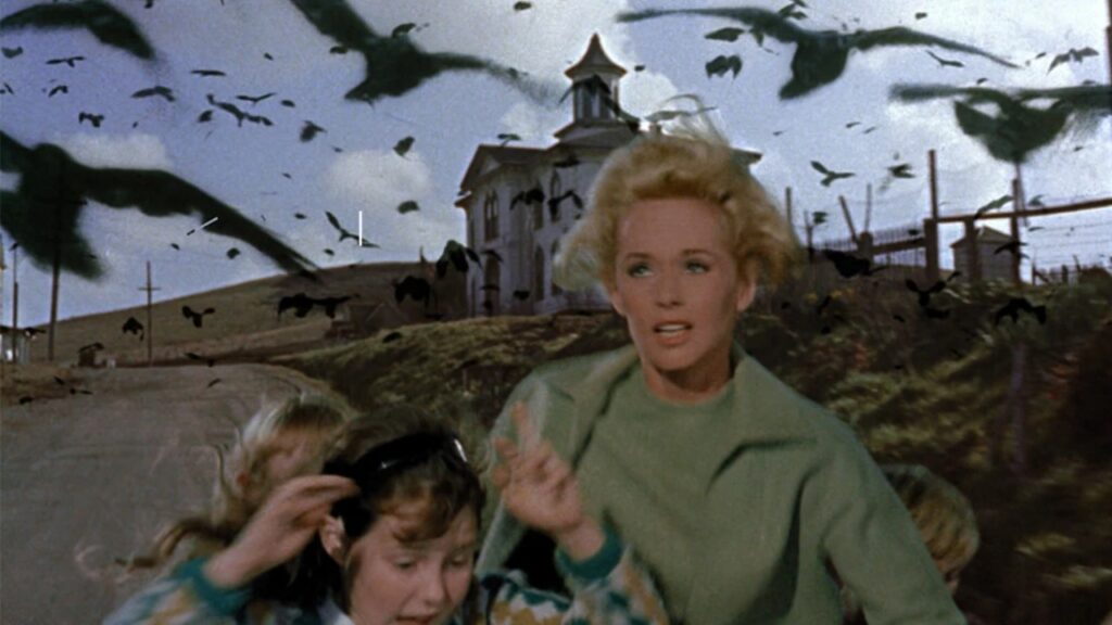 Tippi Hedren in Alfred Hitchcock's 'The Birds' (Image: Universal Pictures)