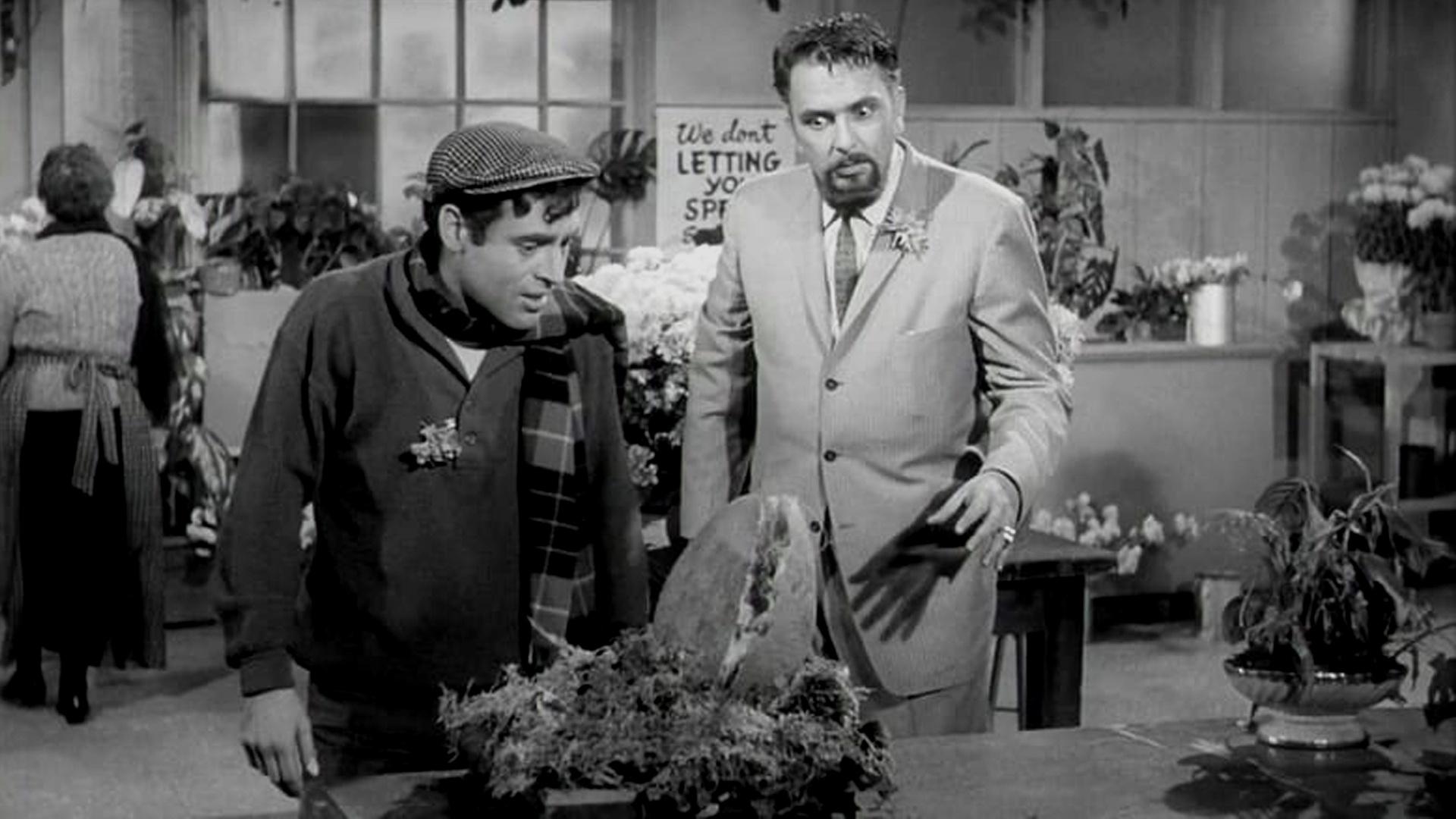 3. Little Shop of Horrors (1960) – 3 days