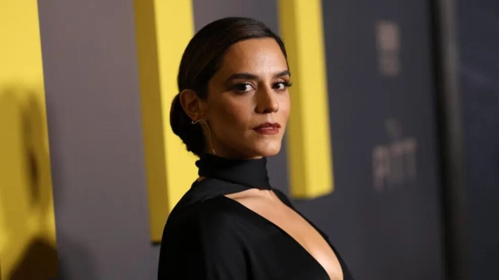 'The Pitt' star Sepideh Moafi