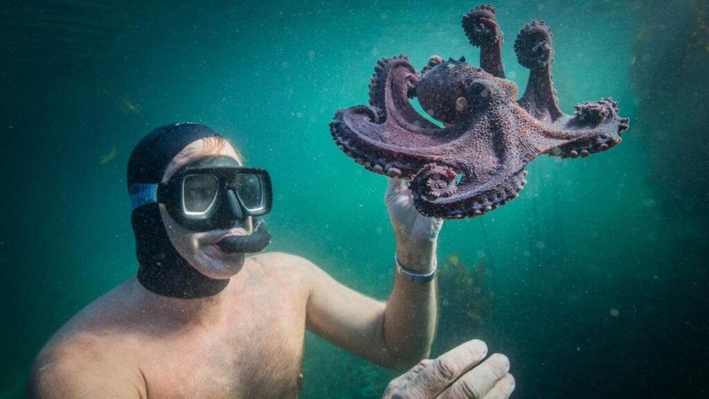 My Octopus Teacher (2020) (Image: Netflix)