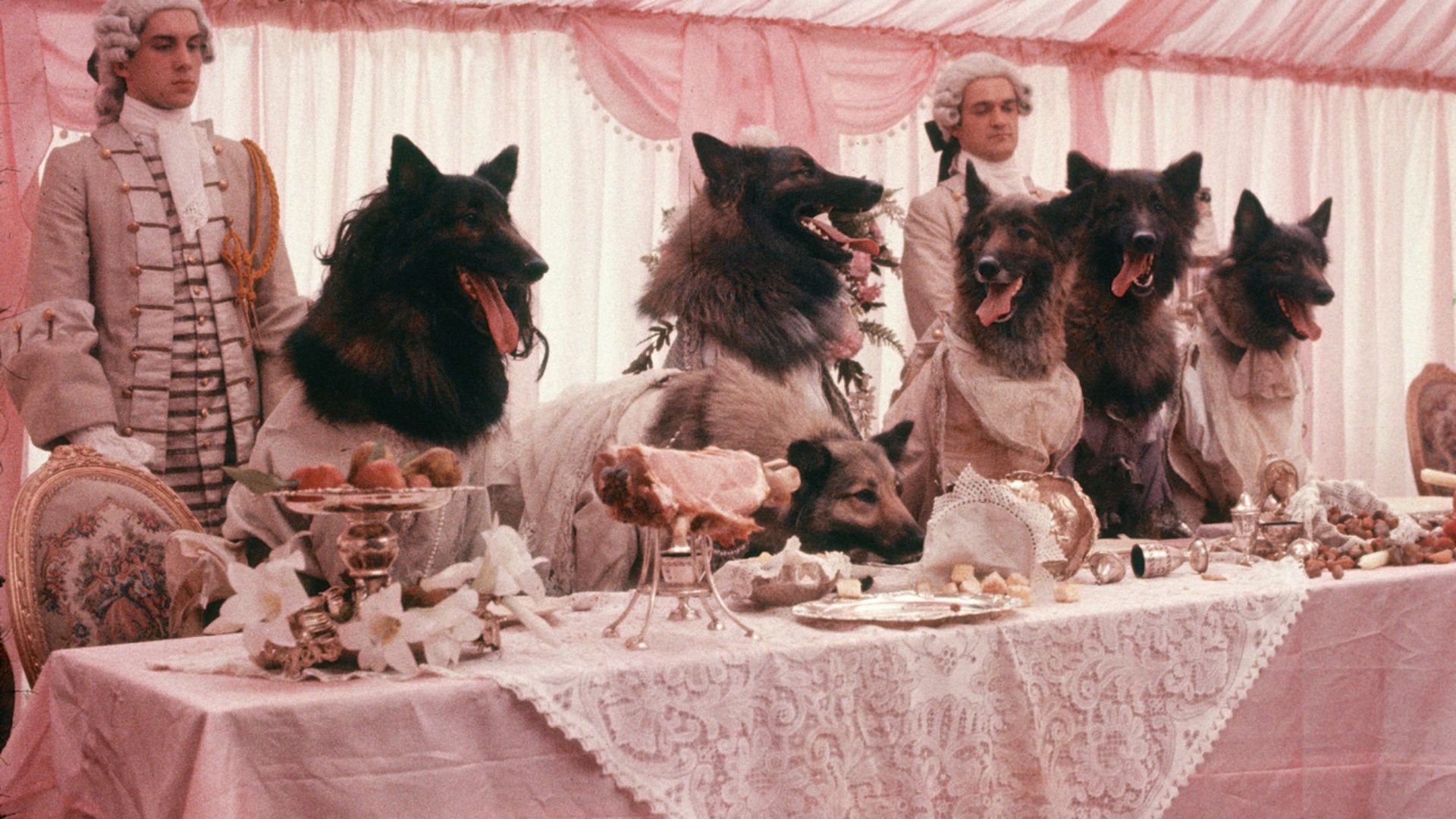 8. The Company of Wolves (1984)