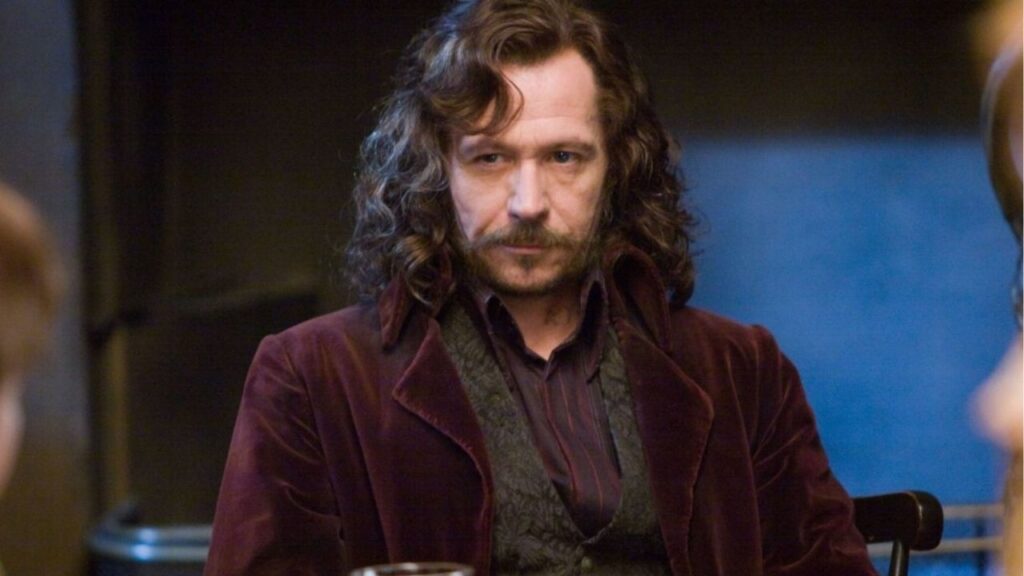 Gary Oldman as Sirius Black in 'Harry Potter'