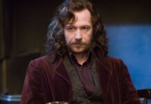 Gary Oldman as Sirius Black in 'Harry Potter'