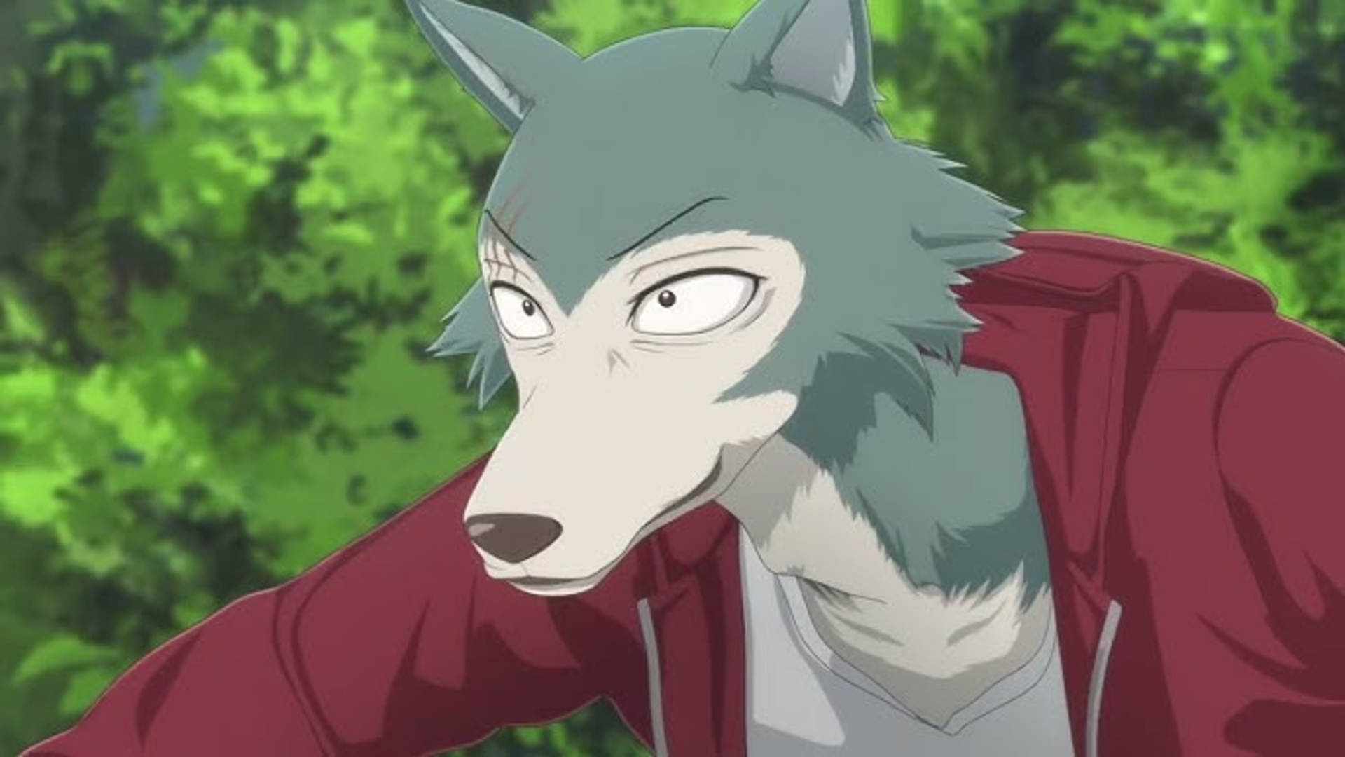 6. Legoshi (Beastars)