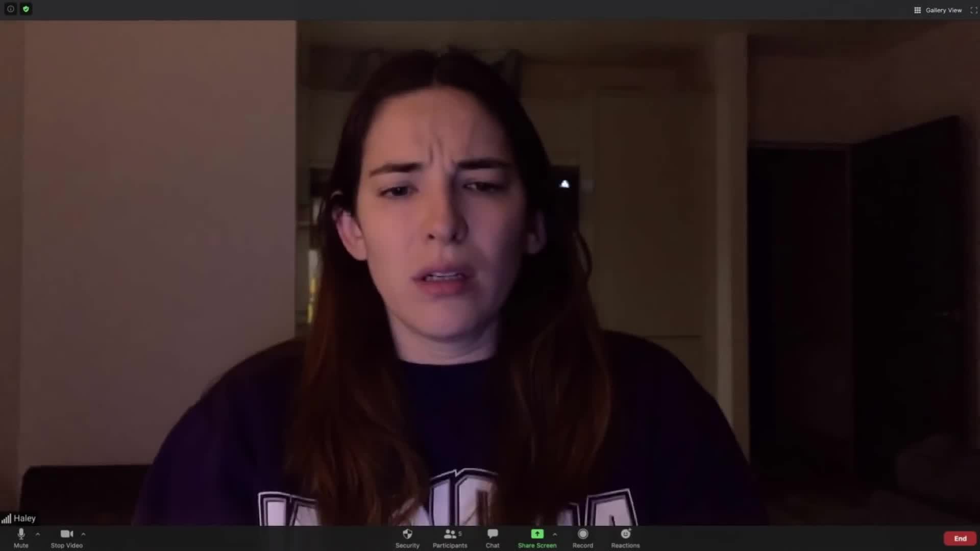 Host (2020)