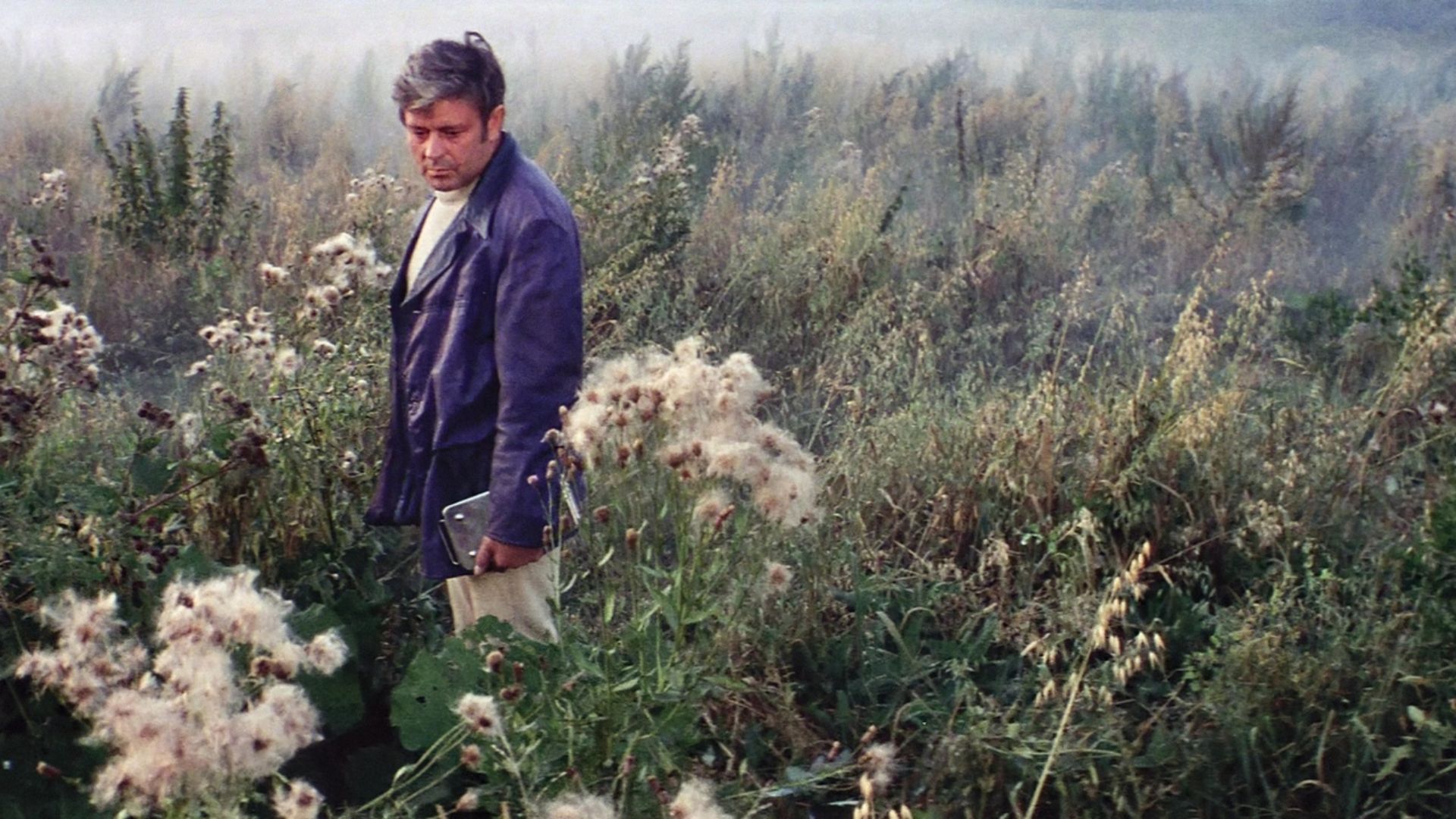 2. Solaris (1972)