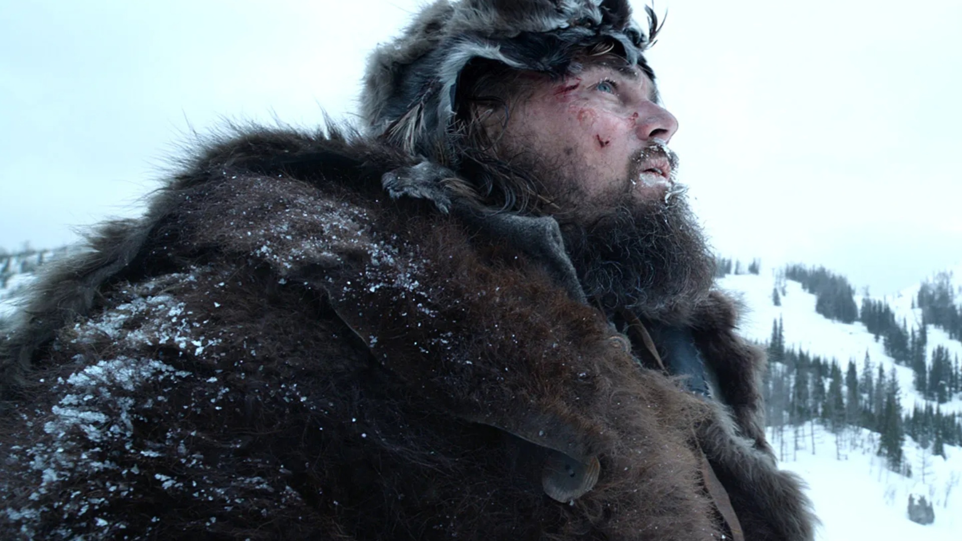 'The Revenant' (2015)