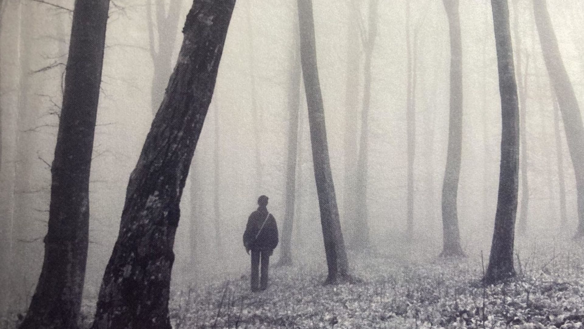 5. Penpal by Dathan Auerbach (2011)
