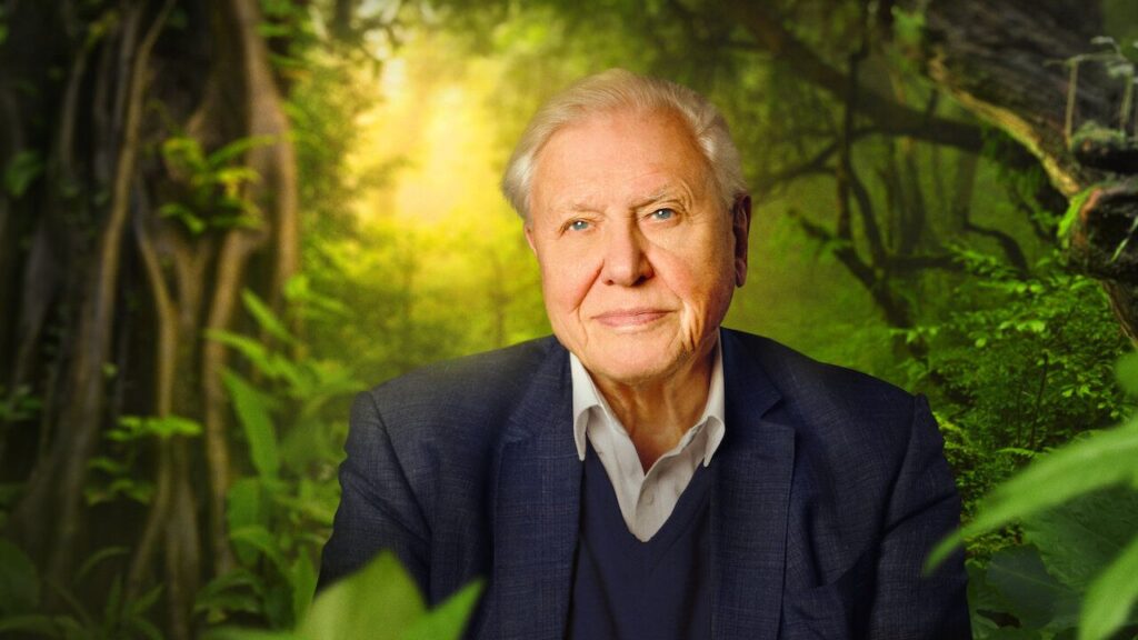 David Attenborough: A Life On Our Planet (2020) (Image: Netflix)