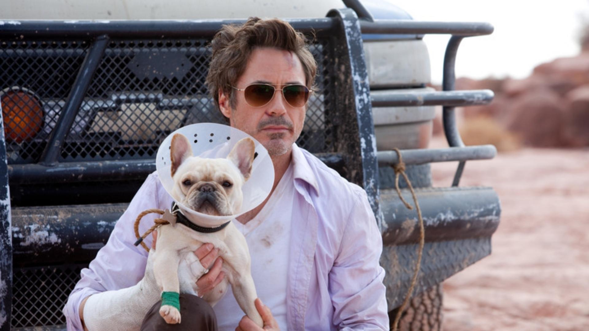 Due Date (2010)