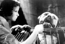The 1960 Movie That Created One Of The Biggest Tropes In Horror Cinema 'Eyes Without A Face' (Image: Lux Compagnie Cinématographique de France)