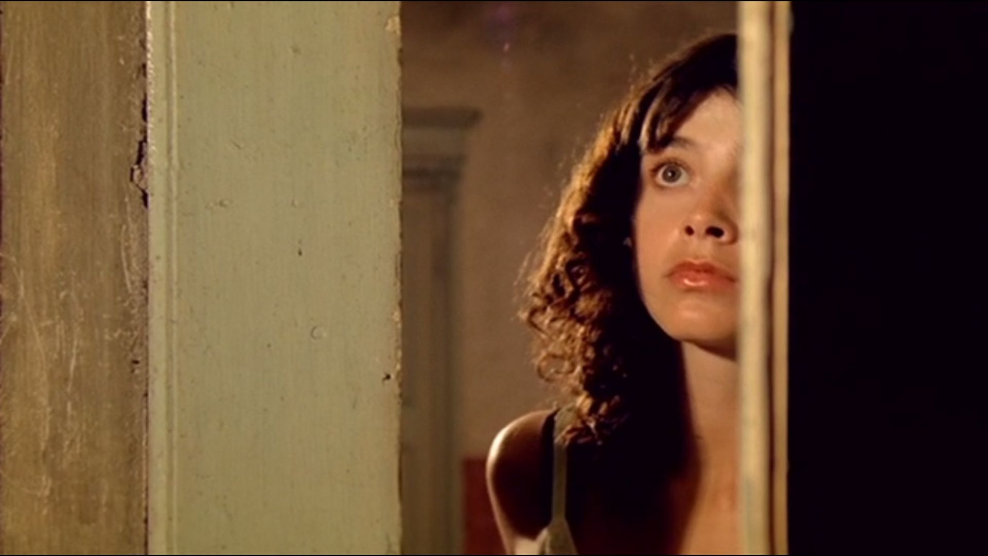 10. The House with Laughing Windows (1976)