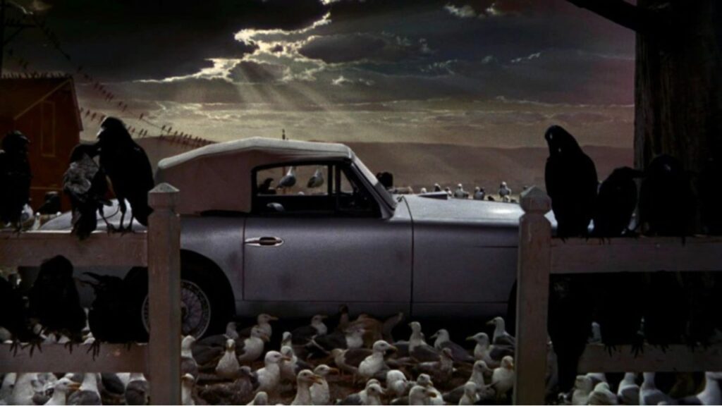 The Birds (1963) (Image: Universal Pictures)