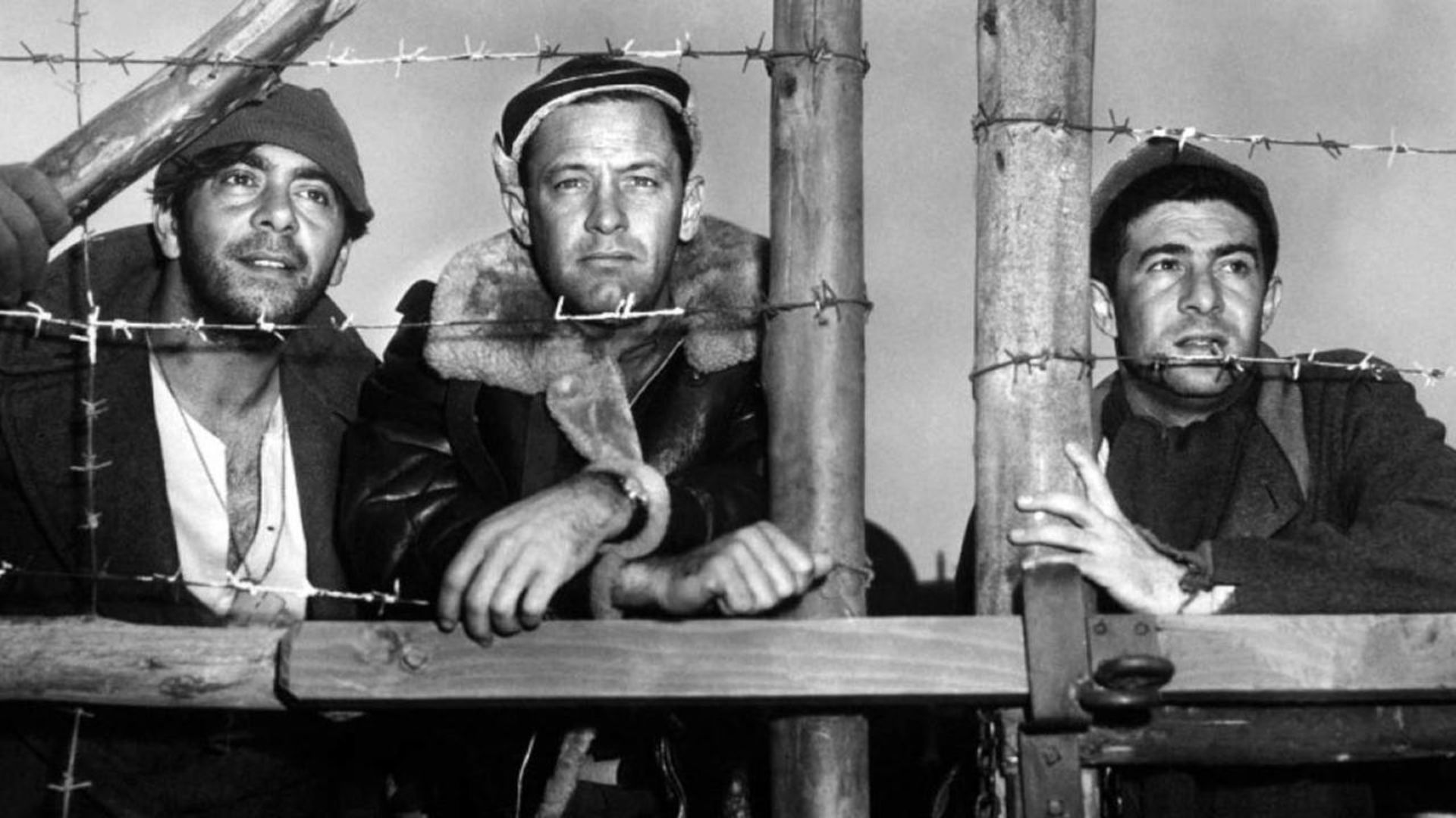 6. Stalag 17 (1953)