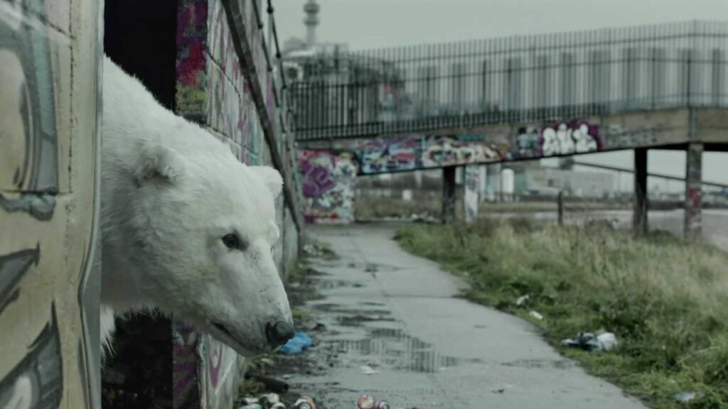 A Homeless Polar Bear in London