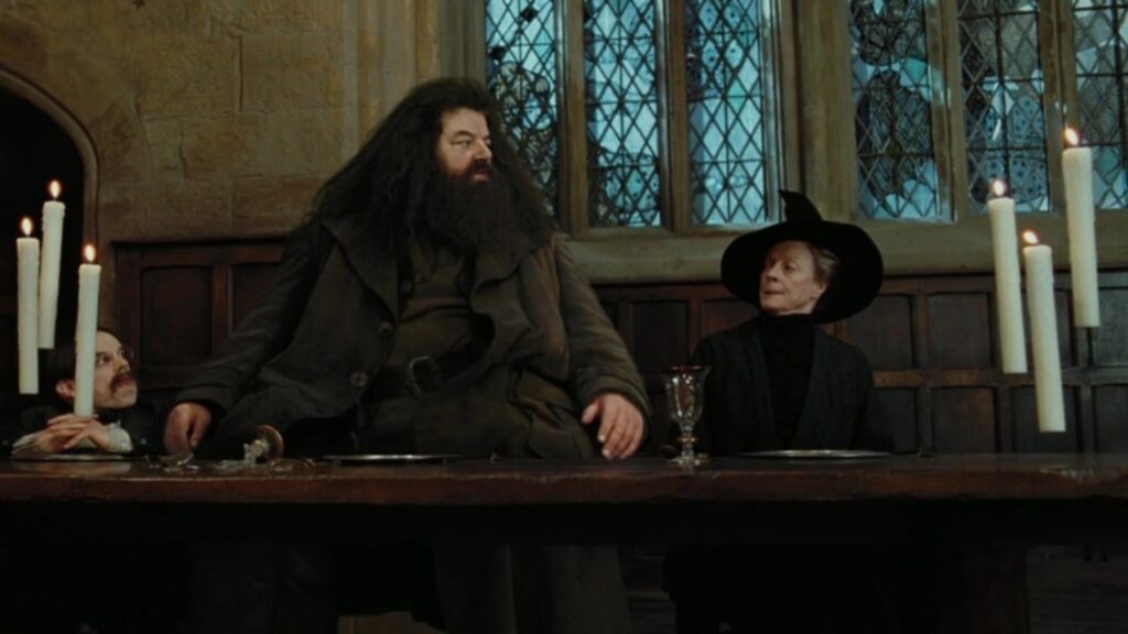 Robbie Coltrane and Robbie Coltrane in 'Harry Potter and The Sorcerer's Stone' (Image: Warner Bros.)
