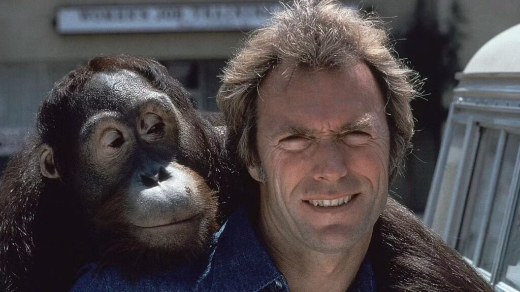 Clint Eastwood in Every Which Way but Loose