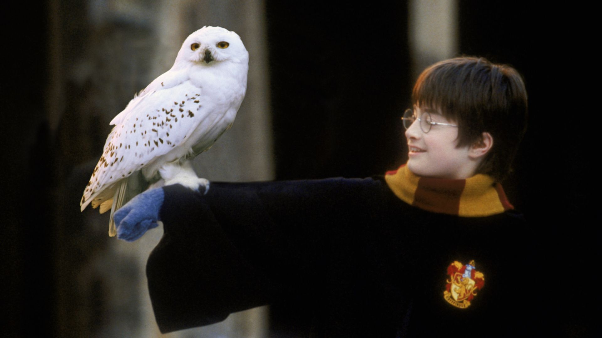 6. Hedwig (Harry Potter and the Deathly Hallows – Part 1)