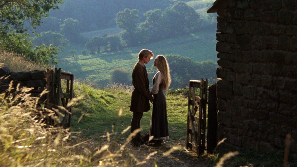 The Princess Bride (1987) (Image: Interaccess Film Distribution)