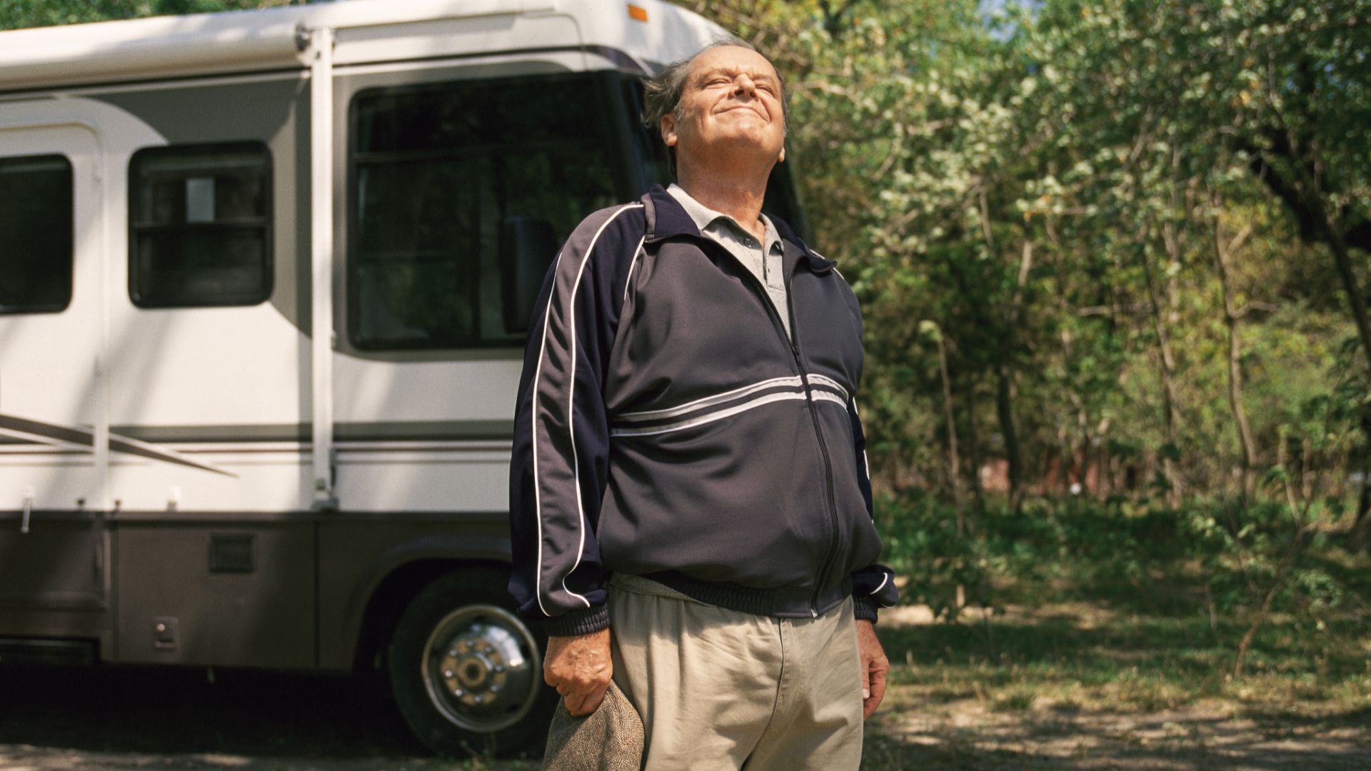 3. About Schmidt (2002)