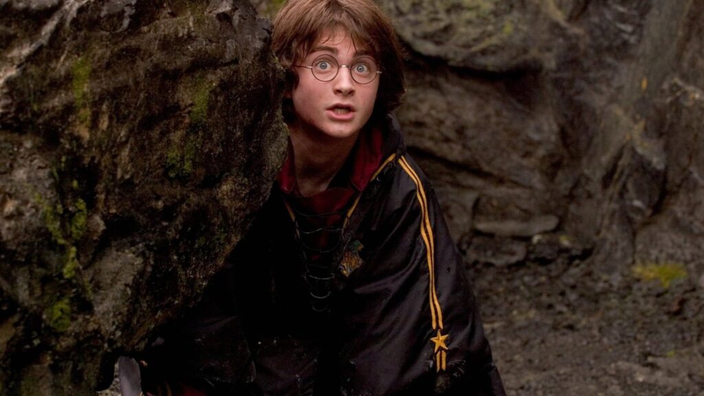 harry potter in triwizard tournament