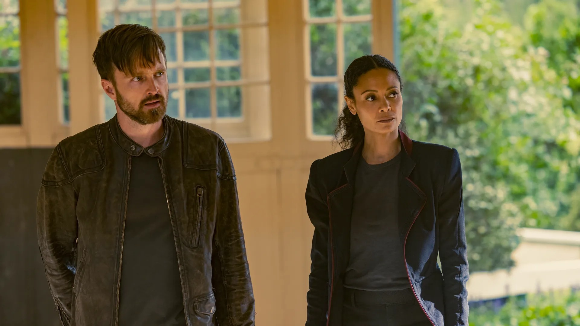 9. Westworld
