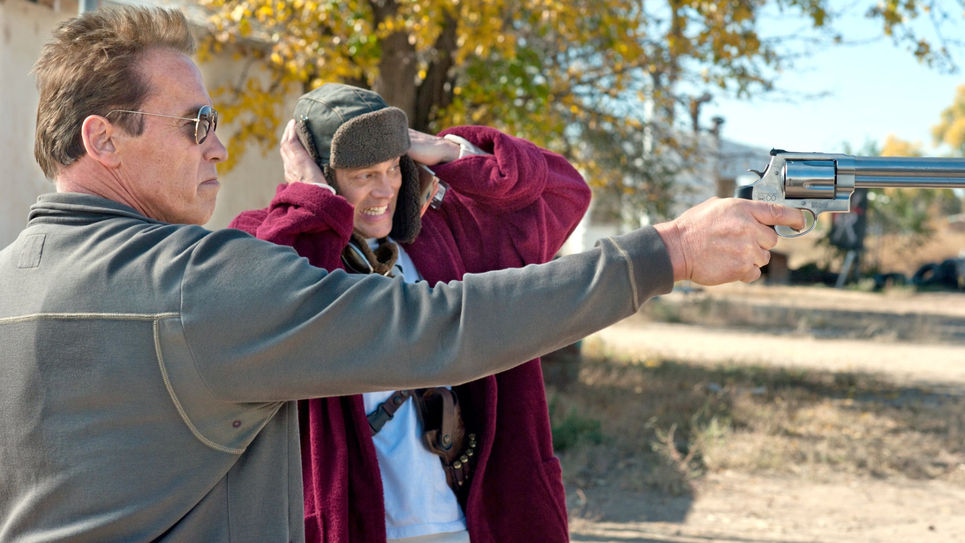 2. The Last Stand (2013)