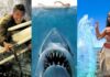 10 Ocean Movies That Make the Sea Impossible to Ignore Ocean movies: The Perfect Storm, Jaws, Moana