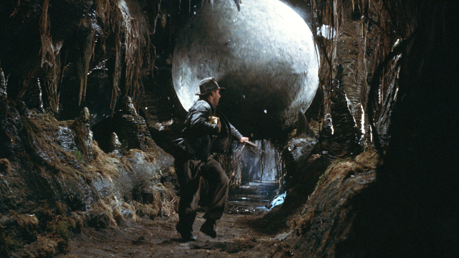 3. Raiders of the Lost Ark (1981)