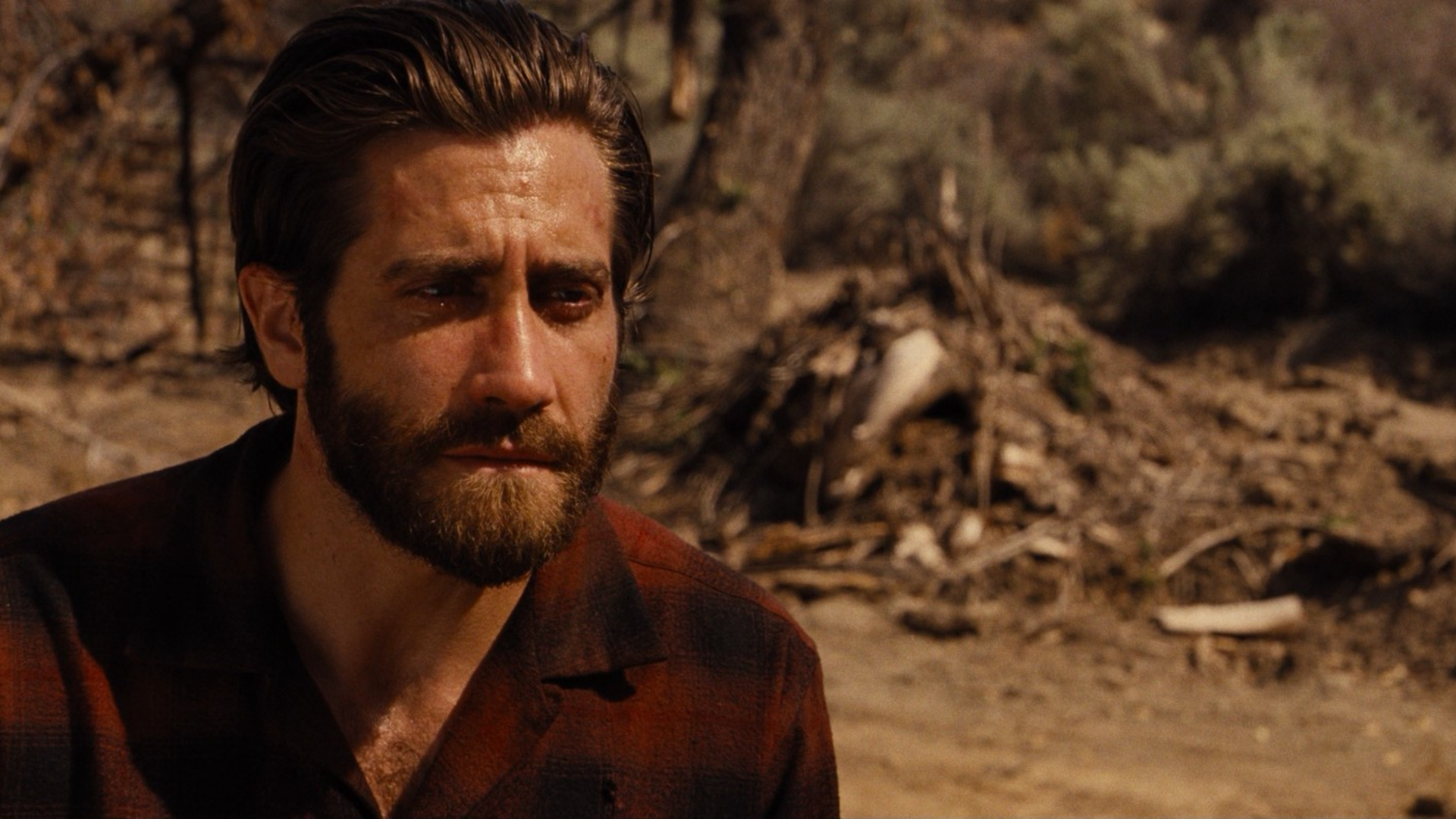 6. Nocturnal Animals (2016)